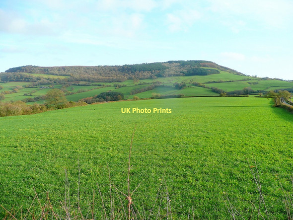 Photo 6"x4" Graig Syfyrddin Llangattock Lingoed c2011