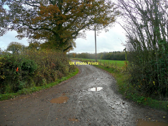 Photo 6"x4" Track to Cobbler's Grove November 2011 Cross Llyde c2011