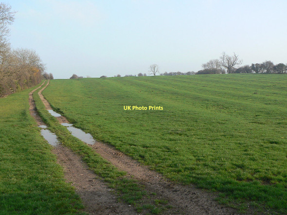 Photo 6"x4" Farm track and field Hickling\/SK6929 c2011