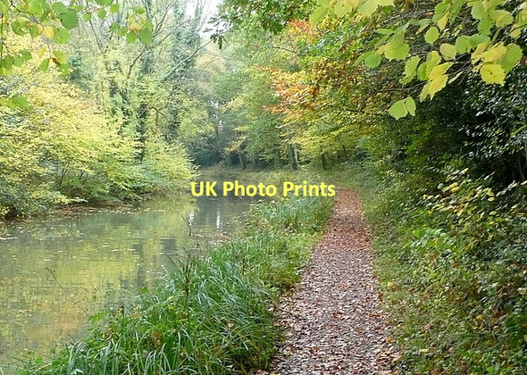 Photo 6"x4" Basingstoke Canal west of Chequers Bridge Crookham Village c2011