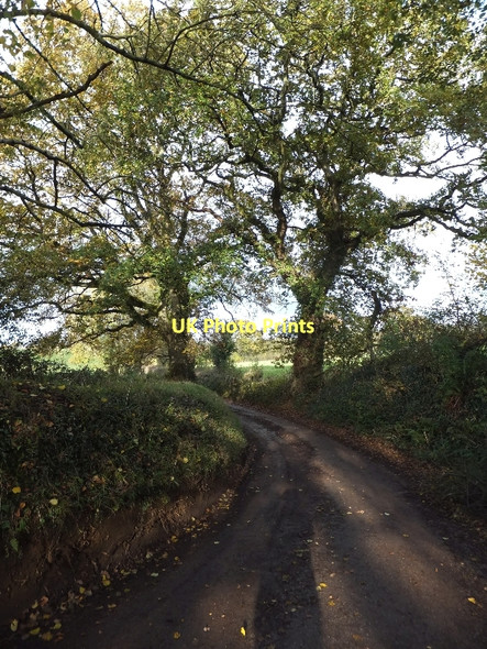 Photo 6"x4" Farm track and public footpath east of Sandfield Farm Blackborough\/ST0909 c2011