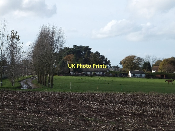 Photo 6"x4" Approach to farm and poultry hatchery lined by newly planted trees Stoford Water c2011