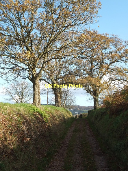 Photo 6"x4" Green lane near Croyle House Bradfield\/ST0509 c2011