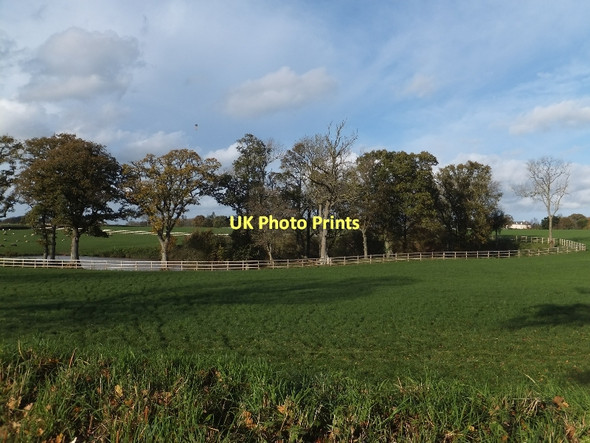 Photo 6"x4" Lake in the grounds of Croyle House Bradfield\/ST0509 c2011