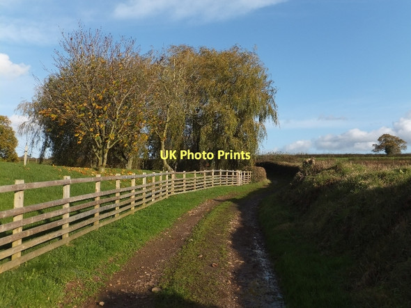 Photo 6"x4" Track at Wressing Kentisbeare c2011