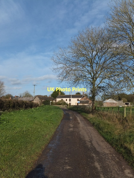 Photo 6"x4" Road to Wressing Farm Bradfield\/ST0509 c2011