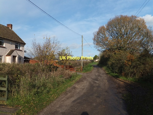 Photo 6"x4" Cottage on road to Wressing Bradfield\/ST0509 c2011