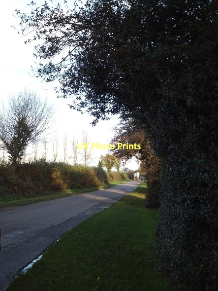 Photo 6"x4" Long straight road to Kentisbeare Dulford c2011