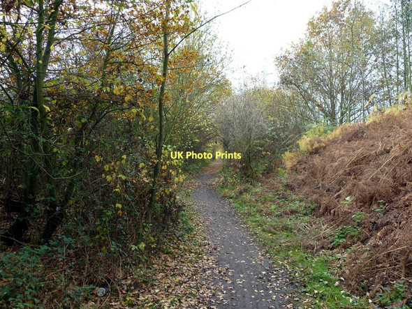 Photo 6"x4" The Trans Pennine Trail Wath Upon Dearne c2011