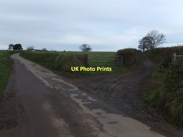 Photo 6"x4" Farm track north-west of Eastington Eastington\/SS7409 c2011