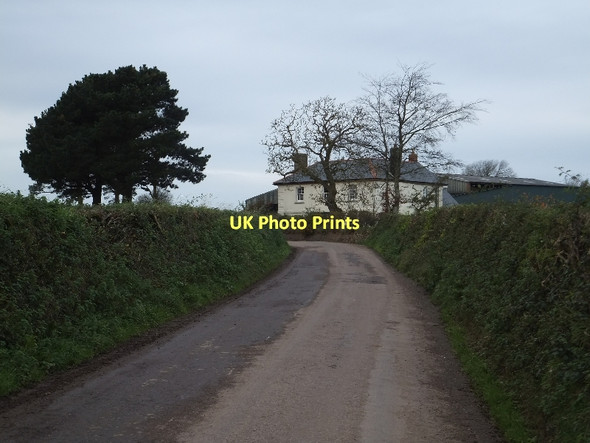 Photo 6"x4" Road to Little Hole Farm Eastington\/SS7409 c2011