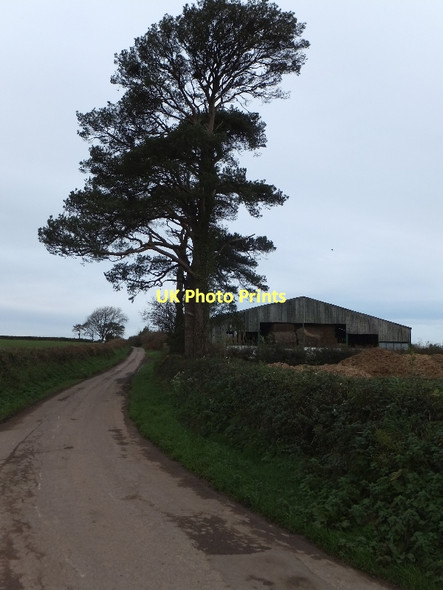 Photo 6"x4" Road passing Little Hole Farm Eastington\/SS7409 c2011