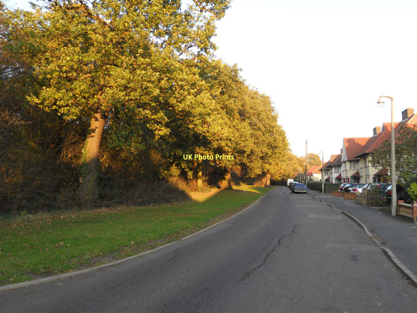 Photo 6"x4" Inks Green Chingford Chingford c2011