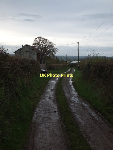 Photo 6"x4" West Lane leading to West Farm, Lapford Lapford c2011