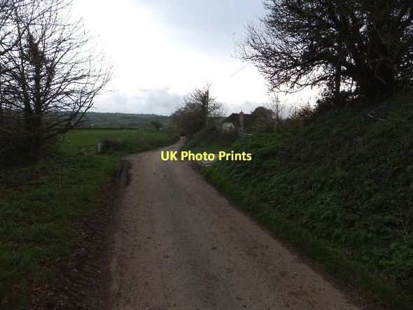 Photo 6"x4" Minor road running south from Kelland Barton (farm) Lapford Cross c2011