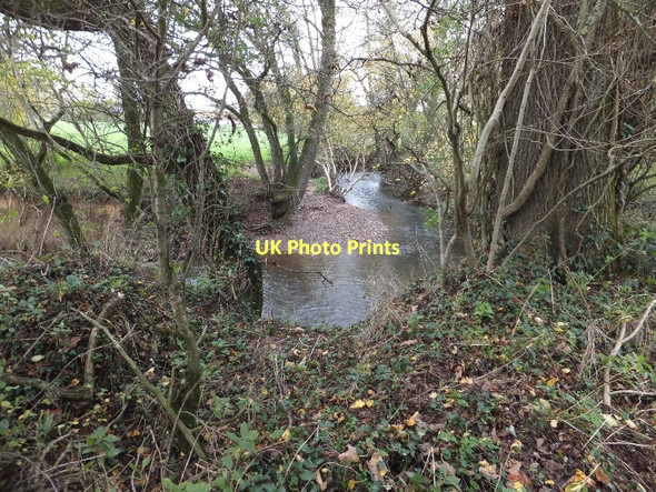 Photo 6"x4" River Yeo beside road to Down St Mary Down St Mary c2011