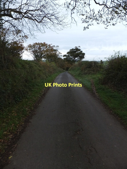 Photo 6"x4" Yeo Road north of Thorne Farm Down St Mary c2011