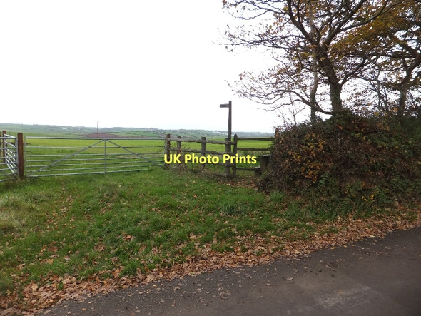 Photo 6"x4" Footpath leaving Yeo Road Down St Mary c2011
