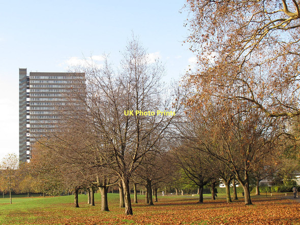 Photo 6"x4" Trees in Southwark Park Bermondsey c2011