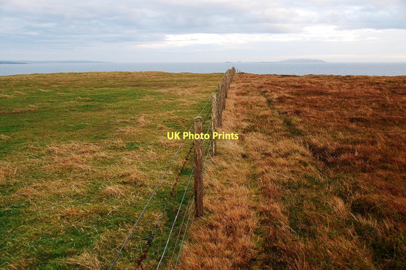 Photo 6"x4" What a difference a fence makes Cornquoy c2011