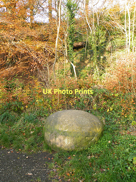 Photo 6"x4" Glacial Erratic Kingsknowe c2011