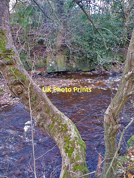 Photo 6"x4" Hailes Sandstone Kingsknowe c2011