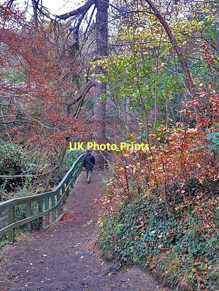 Photo 6"x4" Water of Leith Walkway Craiglockhart c2011