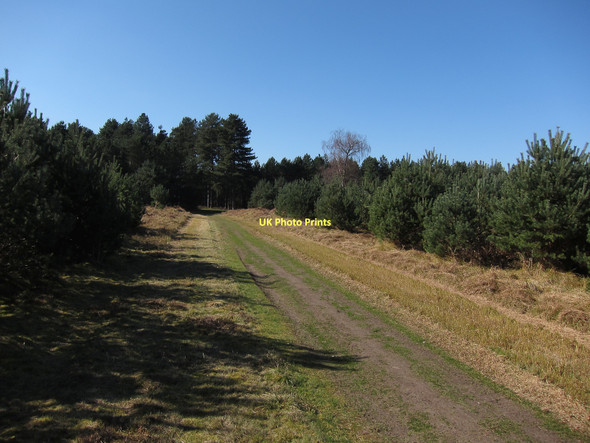 Photo 6"x4" Track in Downham Highlodge Warren Brandon\/TL7886 c2011