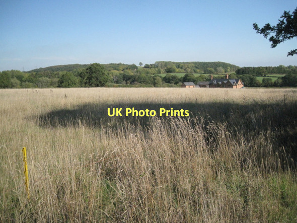 Photo 6"x4" Field edge southwest of Holly Bank Farm Buckley Green c2011
