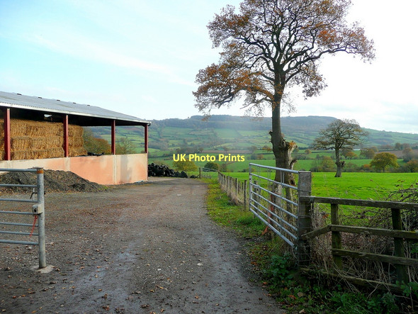 Photo 6"x4" Farm buildings Llangua c2011