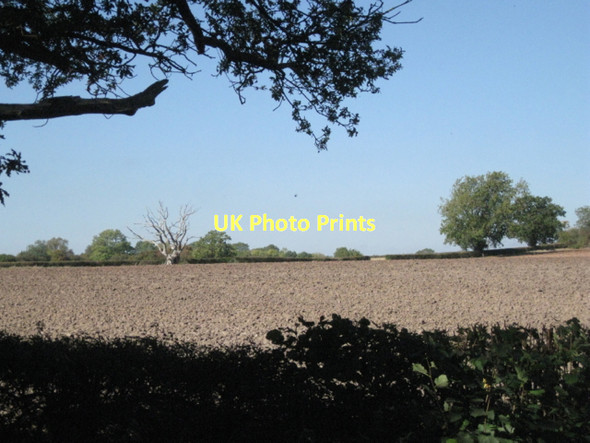 Photo 6"x4" Cultivated field by Henley Road Preston Fields c2011