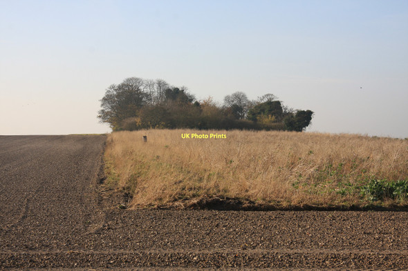 Photo 6"x4" Game cover area off Cadenham Road Swaffham Prior c2011