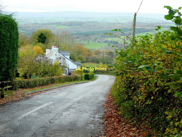 Photo 6"x4" House on a hill Pontrilas c2011