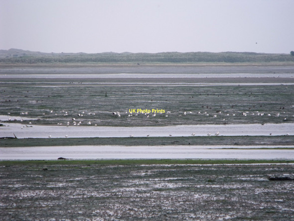 Photo 6"x4" Budle Bay, Northumberland Waren Mill c2011