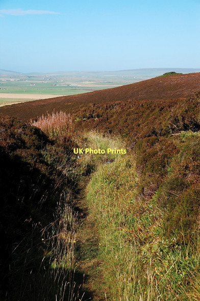 Photo 6"x4" Path to Bigswell Heddle c2010