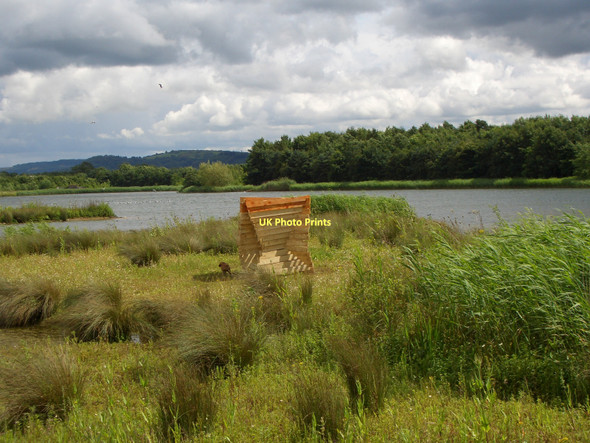 Photo 6"x4" Kemerton Lake Bredon c2008