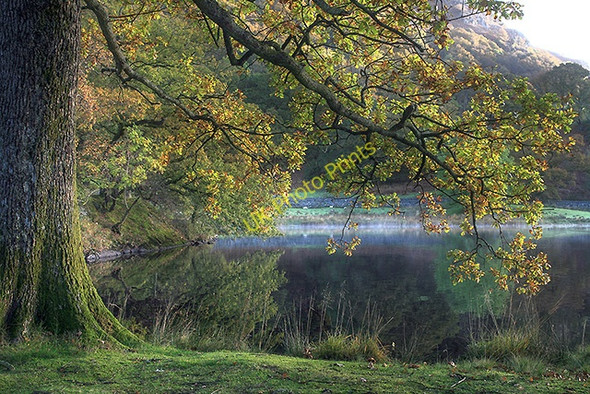Photo 6"x4" Rydal Water early morning Ambleside c2009