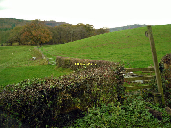 Photo 6"x4" Stile and footpath Pencroesoped c2011