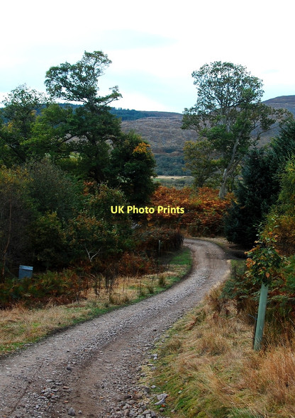 Photo 6"x4" Track to Morvich Lodge Kinnauld c2011