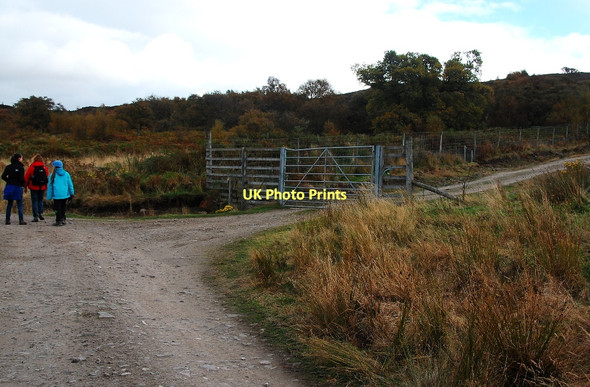 Photo 6"x4" Deer Fence and Gate Kinnauld c2011