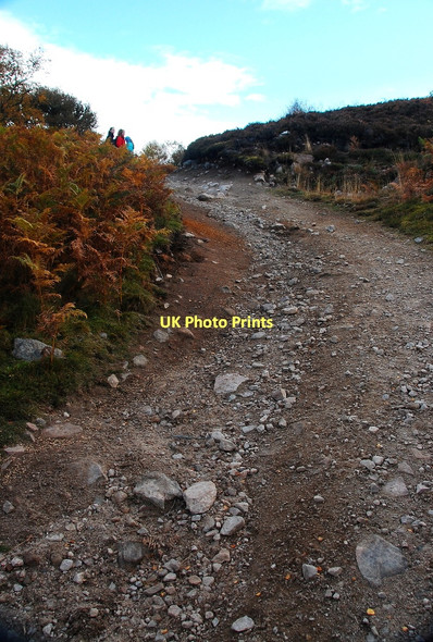 Photo 6"x4" Uphill track Kinnauld c2011