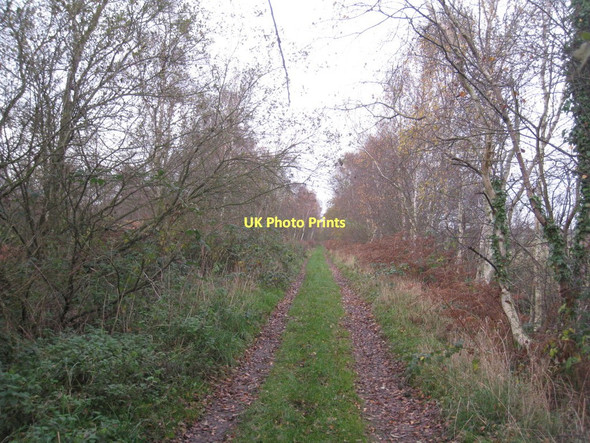Photo 6"x4" Track on Crowle Moor Crowle Hill c2011