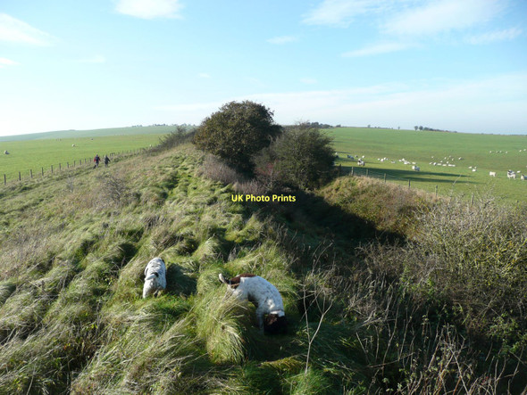 Photo 6"x4" The springers explore Wansdyke Alton Priors c2011