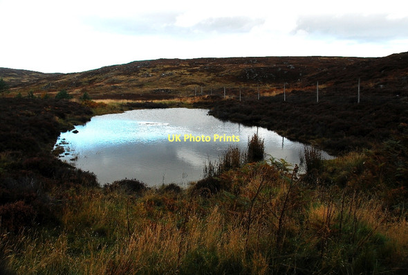 Photo 6"x4" By the deer fence Kinnauld c2011