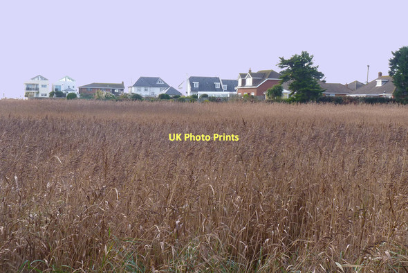 Photo 6"x4" Across the Reed Beds Keyhaven c2011