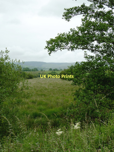 Photo 6"x4" Rough grazing near Ystradmeurig, Ceredigion Ystradmeurig c2011 P1