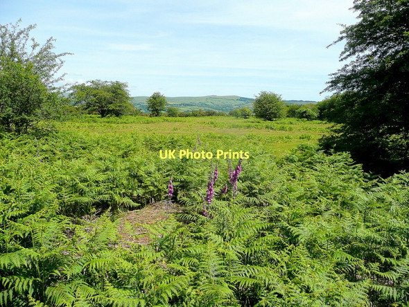 Photo 6"x4" Roborough Down Horrabridge c2011