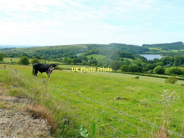 Photo 6"x4" View over Burritor Sheepstor c2011