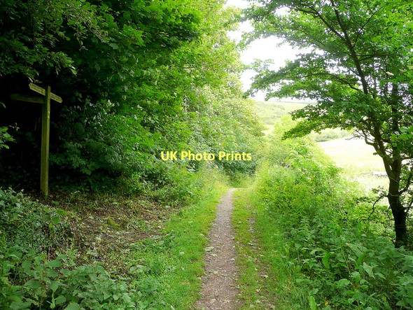 Photo 6"x4" Footpath to Ringmore Kingston\/SX6347 c2011