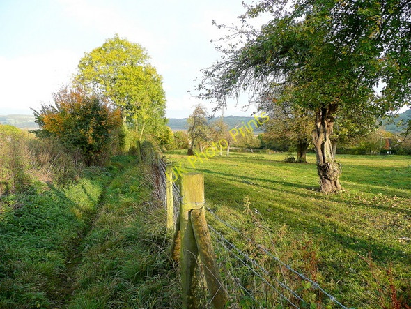 Photo 6"x4" Footpath by an old orchard Greet\/SP0230 c2009